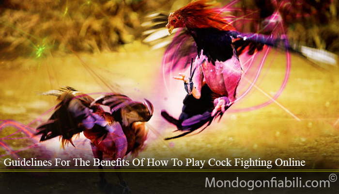 Guidelines For The Benefits Of How To Play Cock Fighting Online